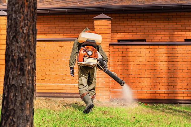 Bed Bug Clearance Verification and Documentation in Rio Hondo